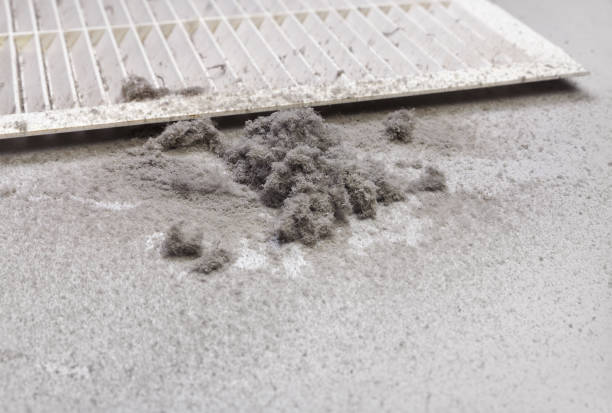 Best Local Air Duct Cleaning Services  in Freeland, WA