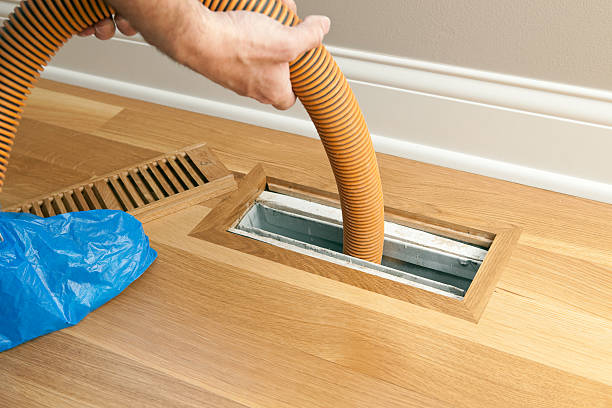 Best Home Air Vent Cleaning  in Freeland, WA
